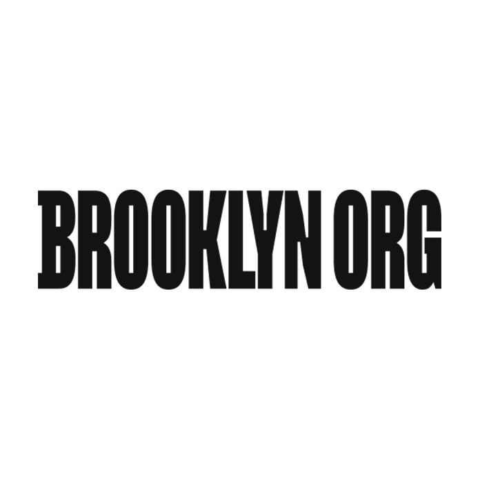 Brooklyn Org logo