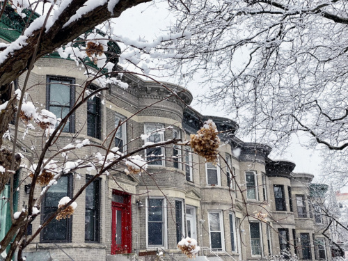 A row of row houses covered in snow.