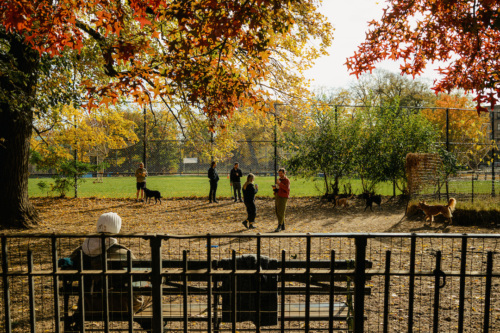A group of people sitting on a bench in a park.