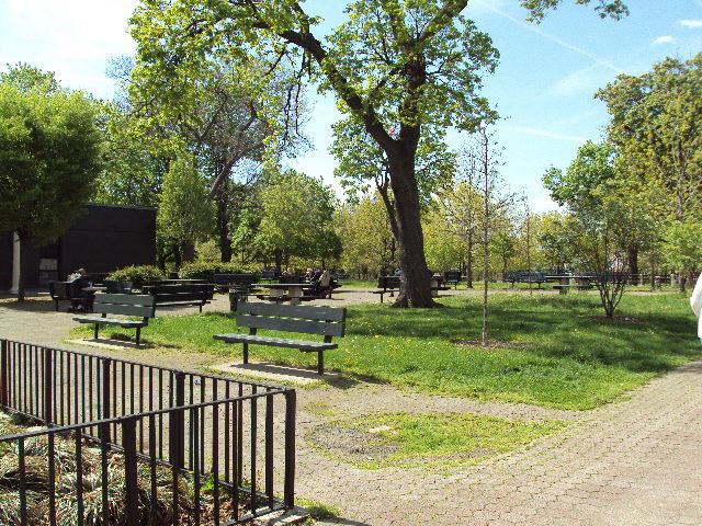 A tranquil public park on a sunny day with green benches and lush trees.