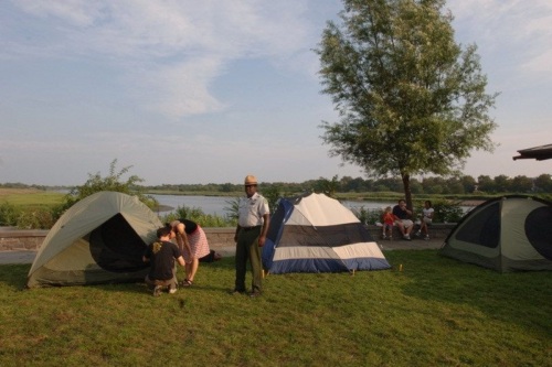 People are setting up tents on a grassy area near a body of water, with a tree and several more people seated nearby.