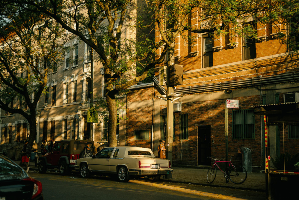 A city street in the late afternoon with shadowed brick buildings, parked cars, and a bicycle leaning against a fence. Trees line the sidewalk, casting dappled light on the scene.