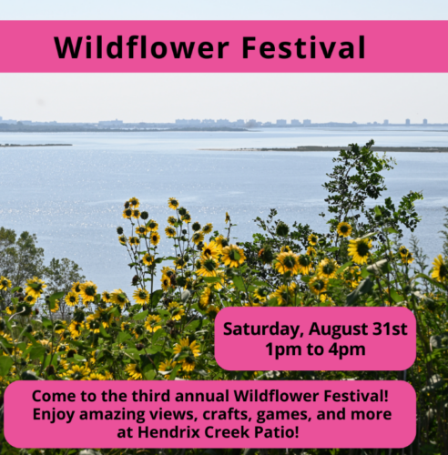 A promotional poster for the Wildflower Festival happening on Saturday, August 31st from 1 pm to 4 pm at Hendrix Creek Patio. The poster features a scenic view of wildflowers and a water body in the background.