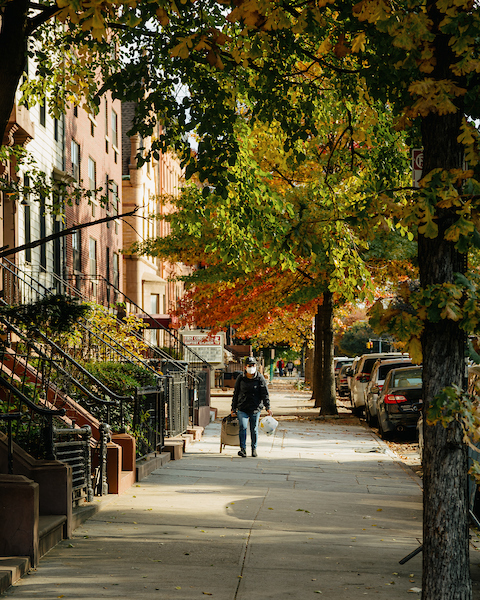 Person walking on a tree-lined sidewalk in an urban neighborhood during autumn, carrying bags, with parked cars and brownstone buildings visible.