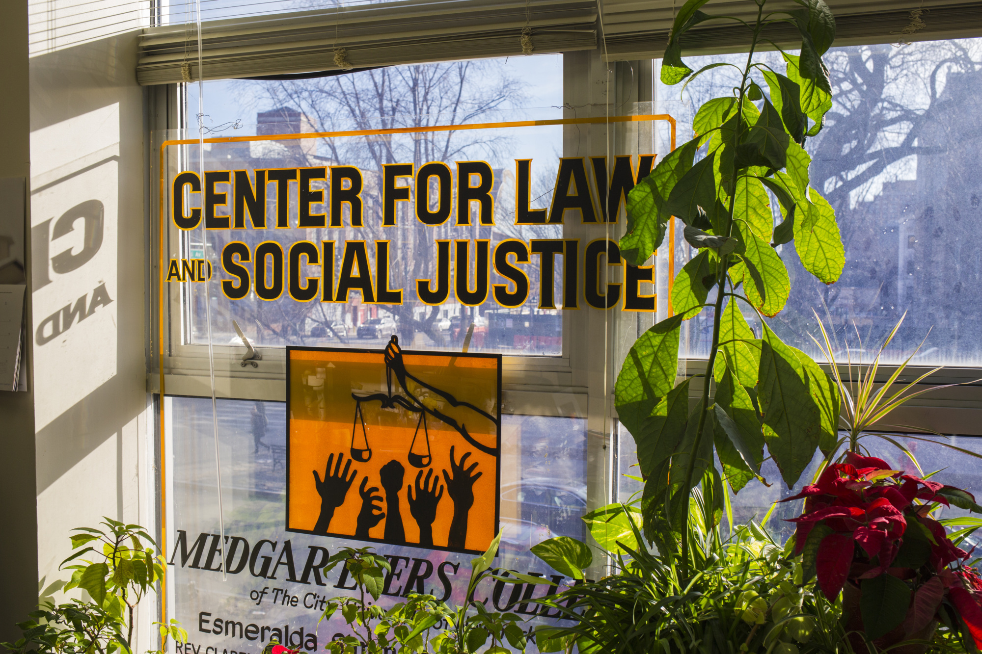 Window signage reads "Center for Law and Social Justice," featuring a logo with a hand and scales. Plants are visible on the windowsill, and a cityscape is seen outside.