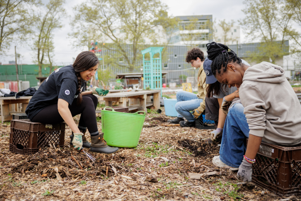 A group of people kneel on the ground and work together in a community garden, digging and sorting soil with tools and gloves.