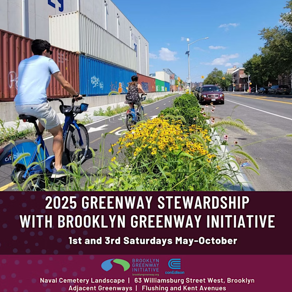 Two people ride bicycles along a greenway lined with flowers beside a street with parked shipping containers in Brooklyn, New York. Text promotes a greenway stewardship initiative.