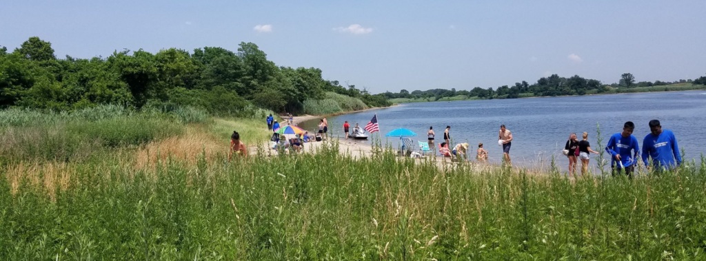 People relax and walk along a sandy lake shoreline with umbrellas and an American flag, surrounded by tall grass and greenery under a blue sky.