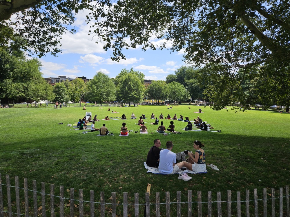 People sit in small groups on a grassy field in a park on a sunny day, with trees and buildings in the background.
