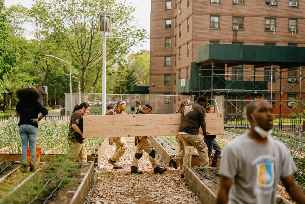 A group of people work together to carry a large wooden plank in a community garden beside an apartment building.