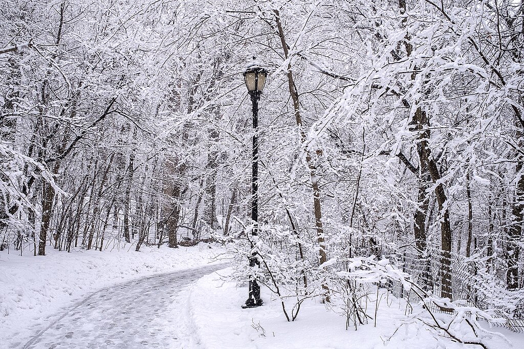 A snow-covered path curves through a forest with bare trees and a black lamppost, all blanketed in fresh snow.