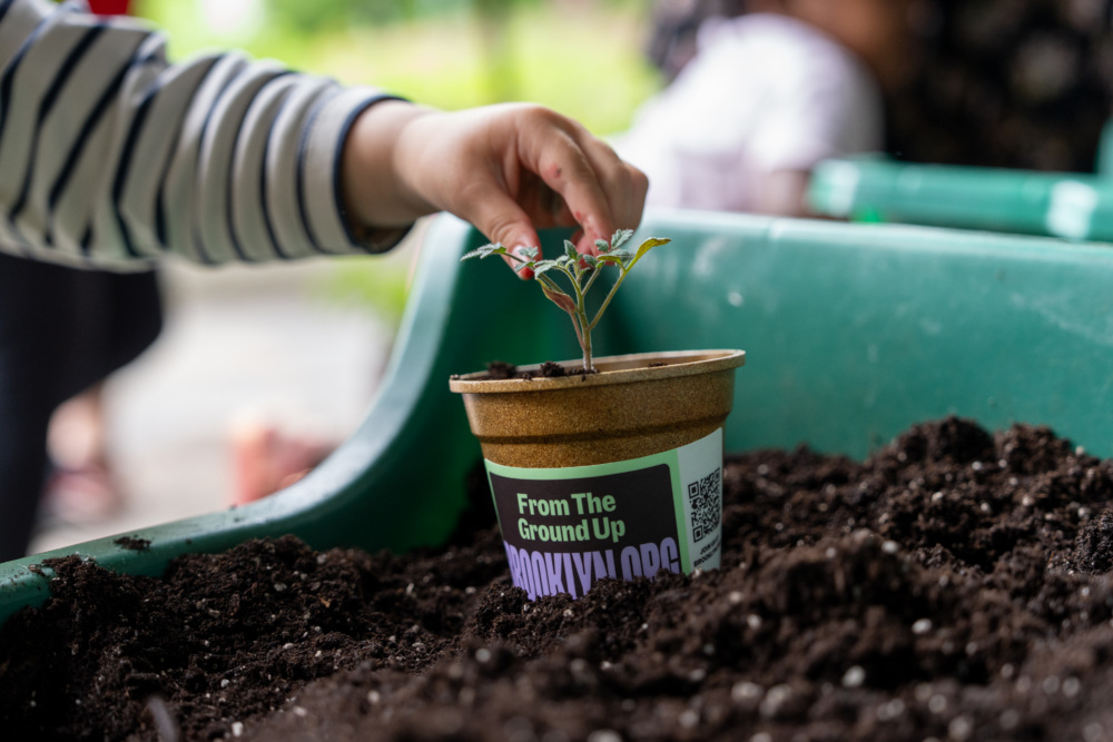 A child’s hand plants a small seedling into a biodegradable pot labeled “From The Ground Up,” surrounded by dark soil in a green container.